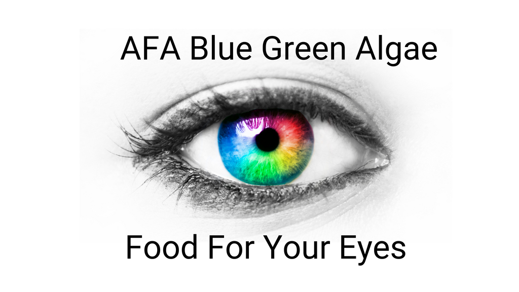 AFA Your Life Essential Daily Superfood for Enhanced Eye and Overall Health