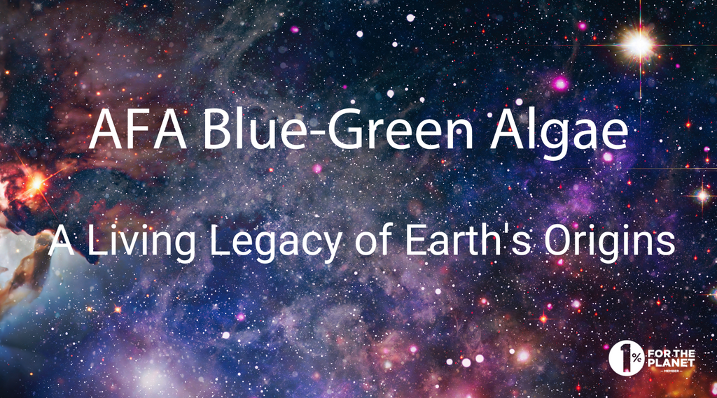 AFA Blue-Green Algae: Your Journey to Vibrant Living