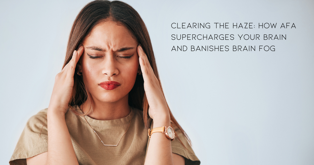 Clearing the Haze: How AFA Supercharges Your Brain and Banishes Brain Fog