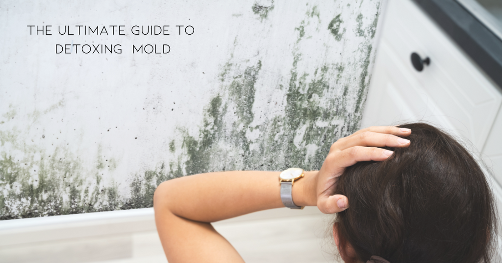 How to Combat Mold Exposure: Detox and Support Your Body Naturally