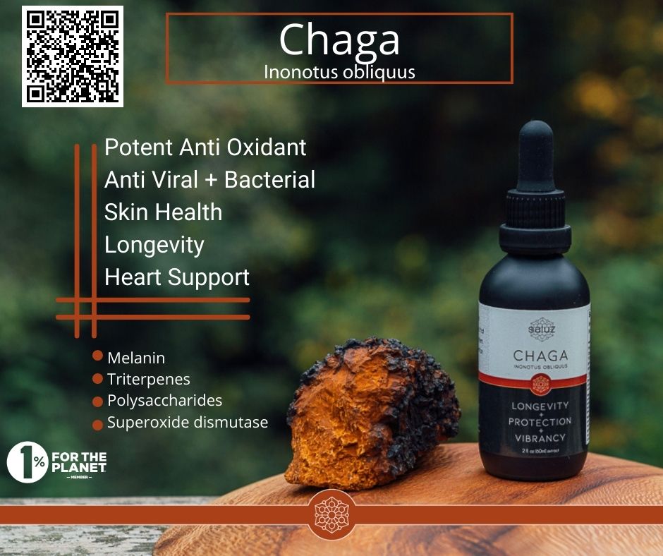 Chaga Chunks + Tincture