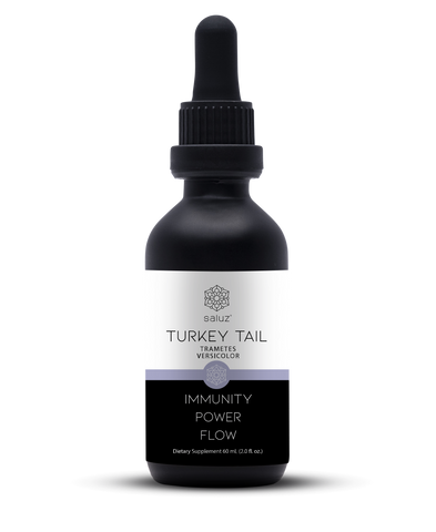 Turkey Tail (Gut Health) Mushroom Tincture 2 oz.