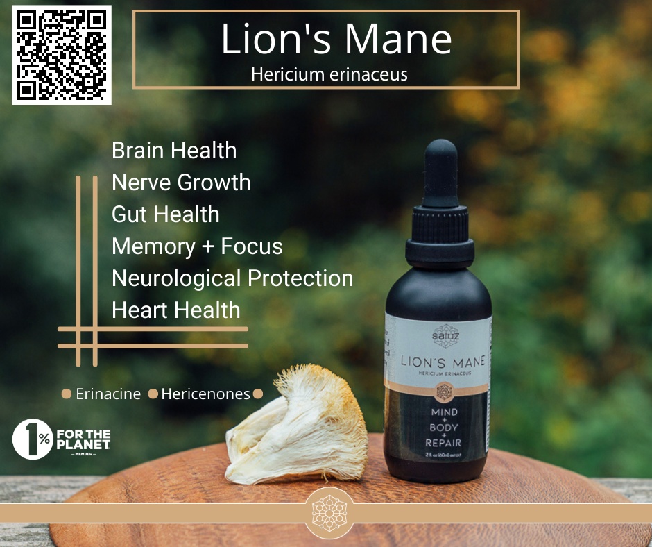 Lion's Mane (Brain) Mushroom Tincture 2 oz.